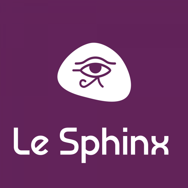 ZOOM on our questionnaire administration software: SPHINX Online